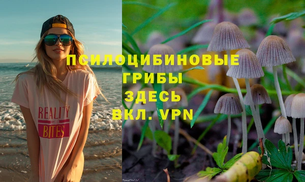 стаф Абаза