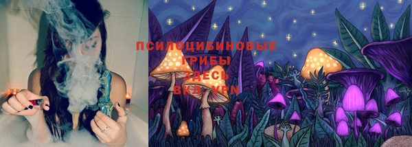 spice Бикин