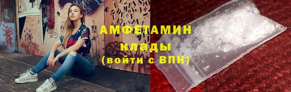 метадон Алексин