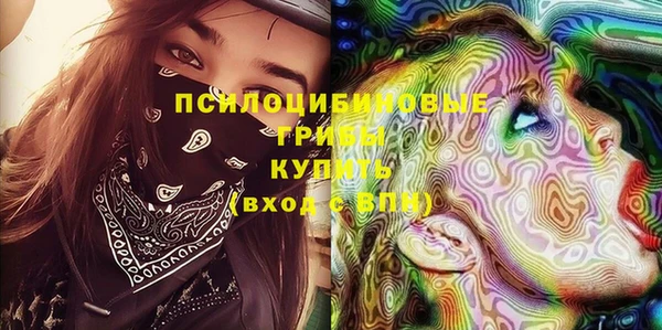 стаф Абаза
