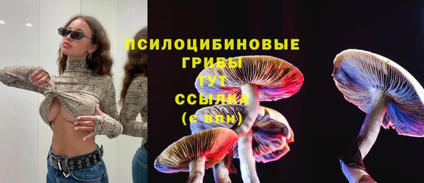 стаф Абаза