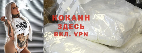 тгк Гусев