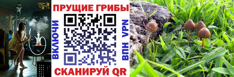 Галлюциногенные грибы Magic Shrooms  Верхоянск 